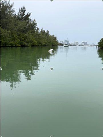 ASV platform in mission
